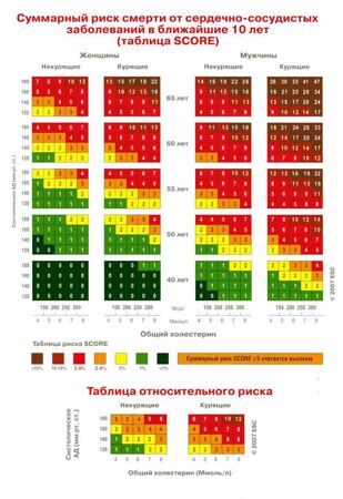 SCORE русский